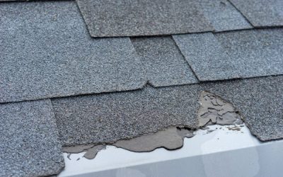 Warning Signs That Your Roof is Failing